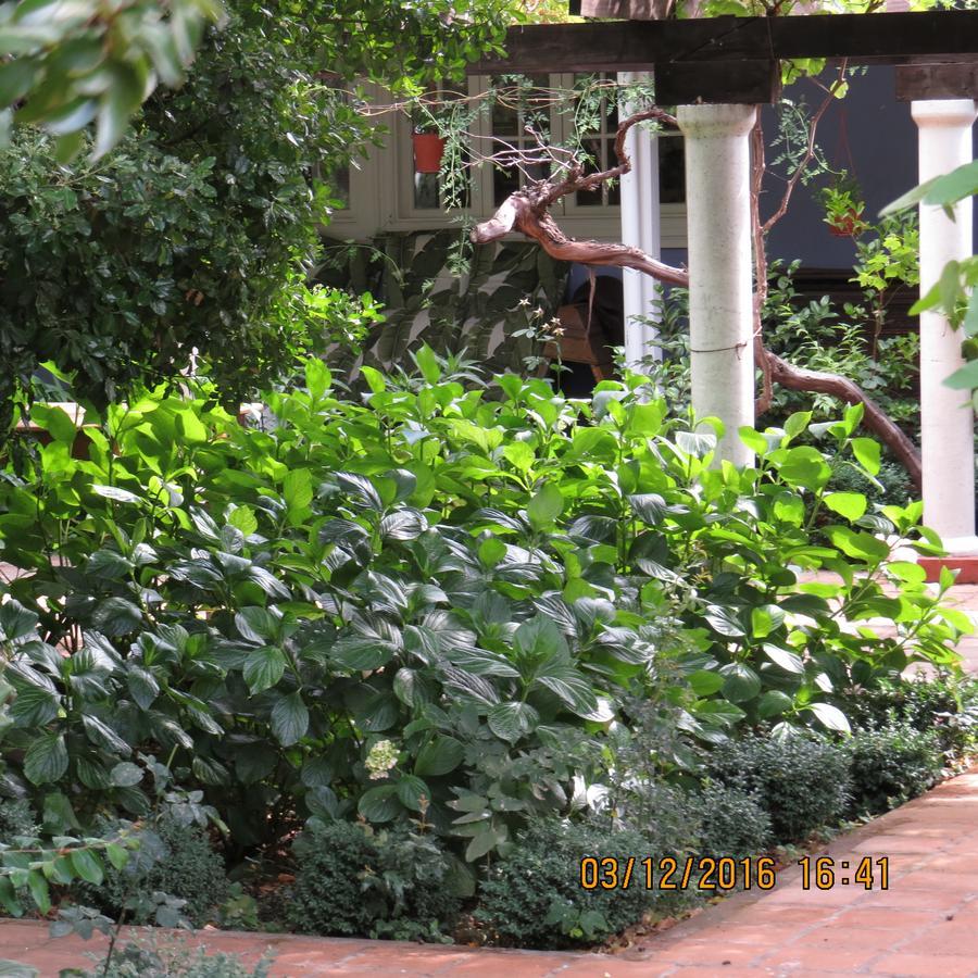 Hotel Boutique Quinta Maria Santa Cruz Exteriér fotografie