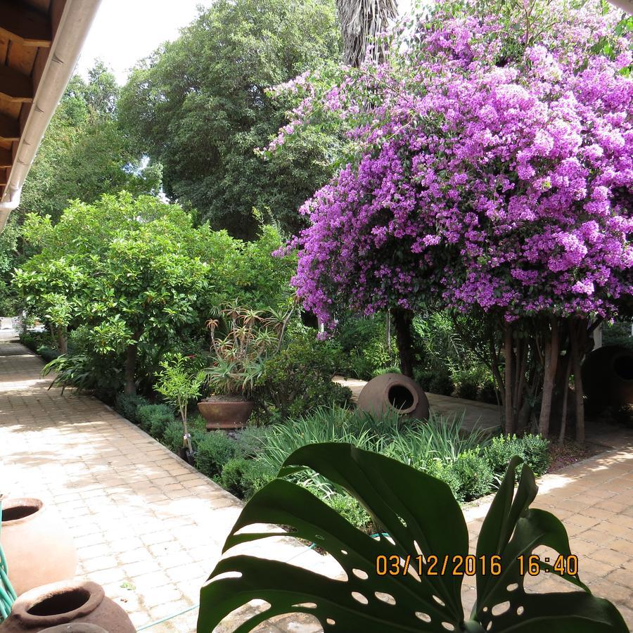 Hotel Boutique Quinta Maria Santa Cruz Exteriér fotografie