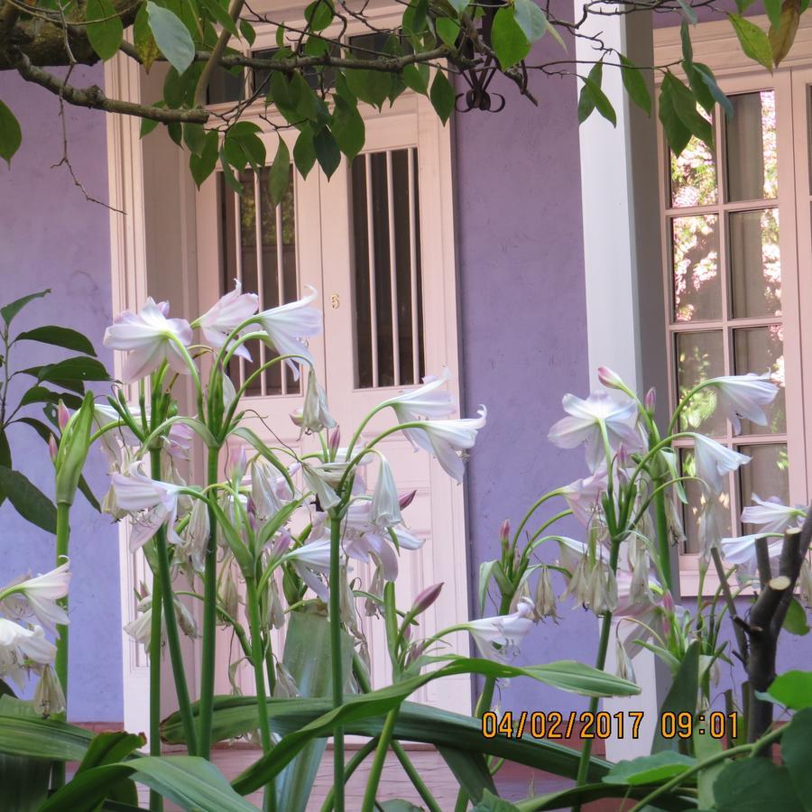 Hotel Boutique Quinta Maria Santa Cruz Exteriér fotografie