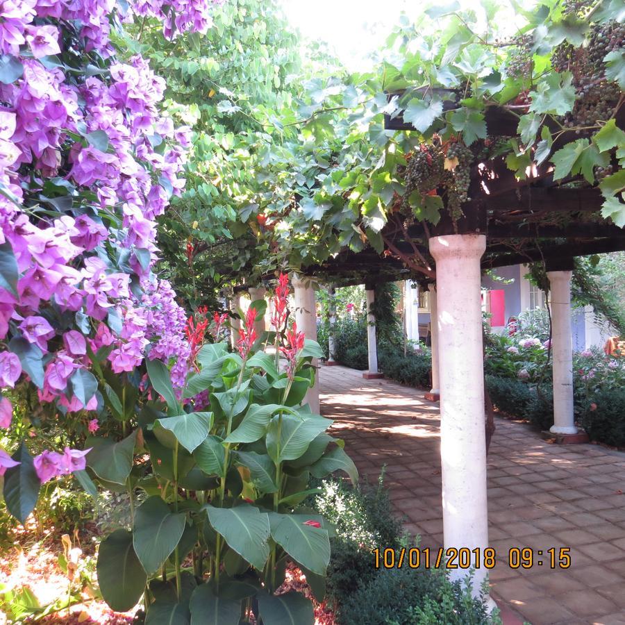 Hotel Boutique Quinta Maria Santa Cruz Exteriér fotografie