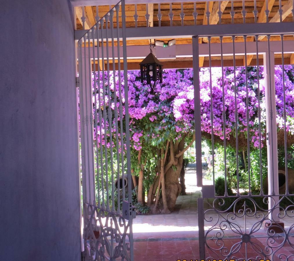 Hotel Boutique Quinta Maria Santa Cruz Exteriér fotografie